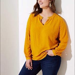 LOFT Plus Lacy Dotted Keyhole Blouse (16)